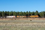 BNSF 3768